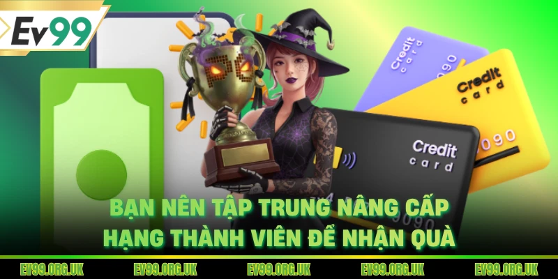 Bạn nên tập trung nâng cấp hạng thành viên để nhận quà
