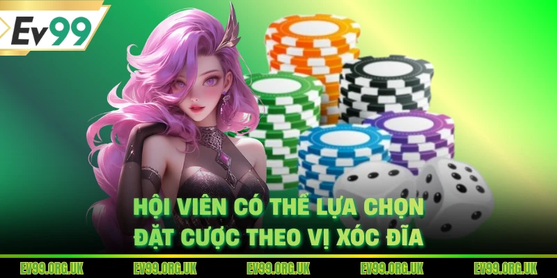 Hội viên có thể lựa chọn đặt cược theo vị xóc đĩa