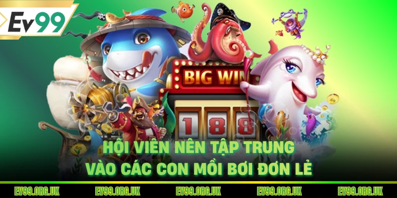 Hội viên nên tập trung vào các con mồi bơi đơn lẻ